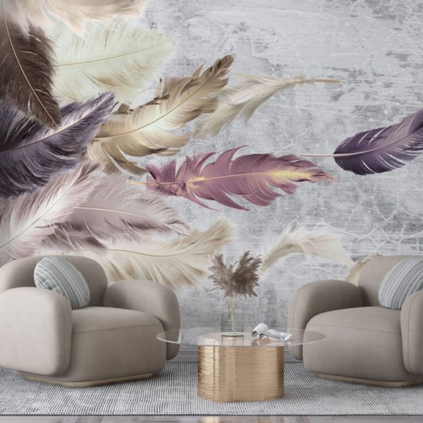 Colorful Feathers With Gray Wall Mural