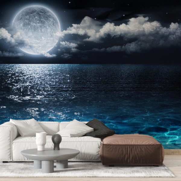 3D Full Moon Oceanscape Wall Mural