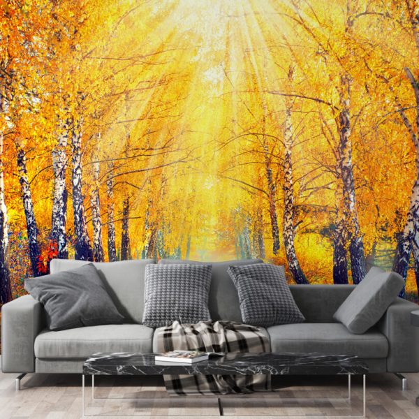 Autumn In The Forest Wallpaper Wall Mural