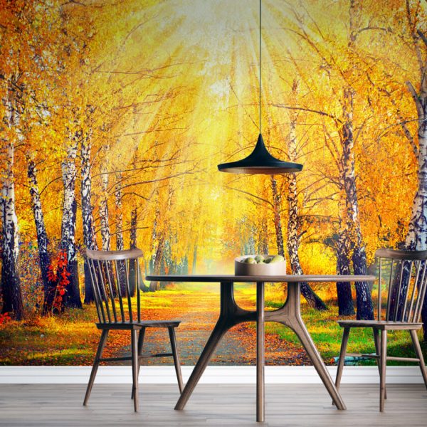Autumn In The Forest Wallpaper Wall Mural