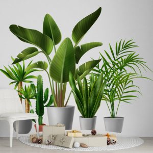 Wall Decal Tropical Plants In Pots