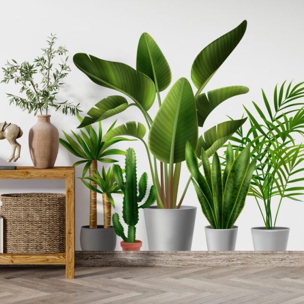 Wall Decal Tropical Plants In Pots