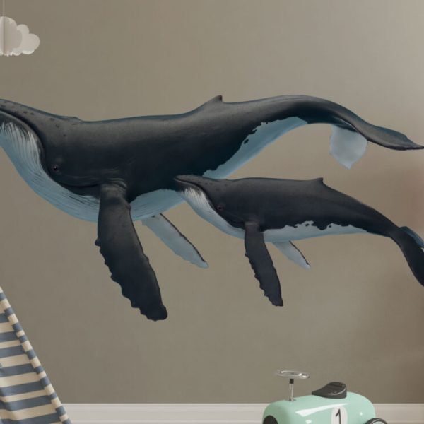 Whale Decal Whale Sticker Kids Room