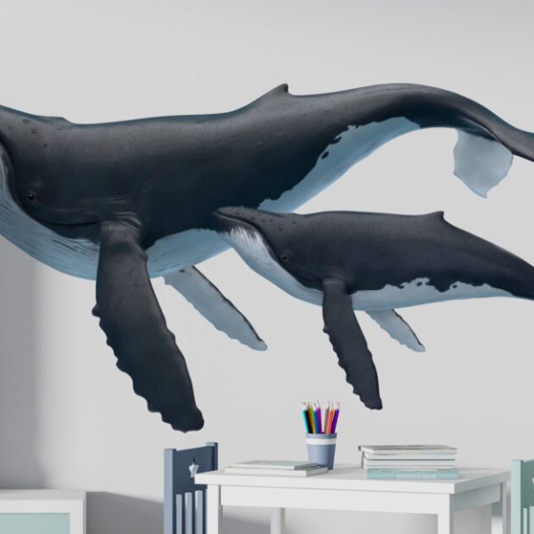 Whale Decal For Kids Room