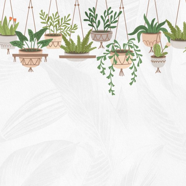 Flowerpots Design Wallpaper