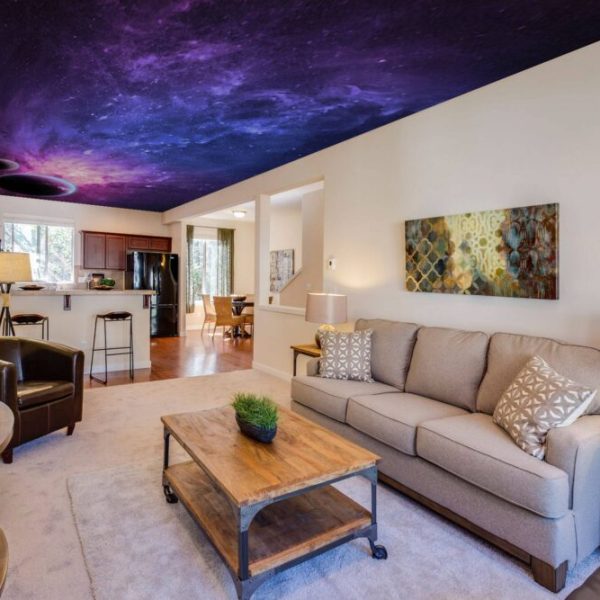 Galaxy And Planets Ceiling Wall Mural