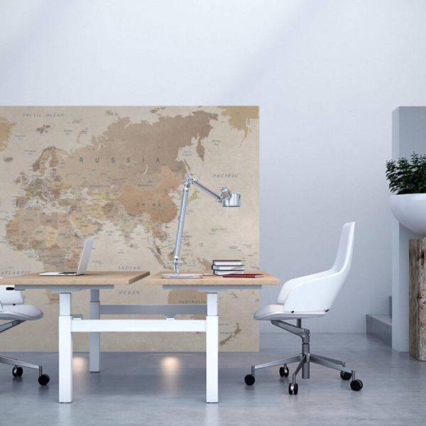 Classic Room World Map Wall Mural