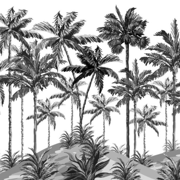 Black And White Palm Trees Wall Mural