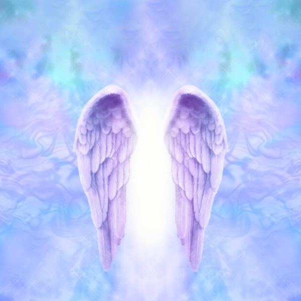 2880x1800 angel, wings, flower Macbook Pro Retina Wallpaper, HD Vector 4K  Wallpapers, Images, Photos and Background - Wallpapers Den