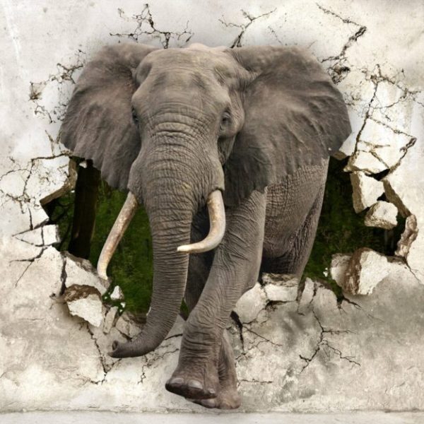 3D Elephant Crashes Into Room Wall Mural