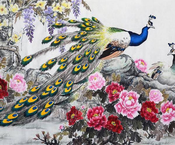 Peacock Birds And Flowers Wall Mural