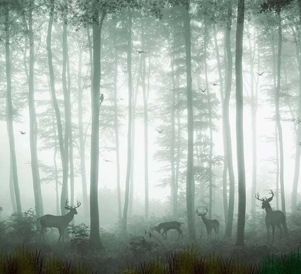 Green Foggy Forest Wall Mural